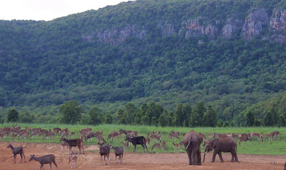 Simlipal Wildlife Sanctuary